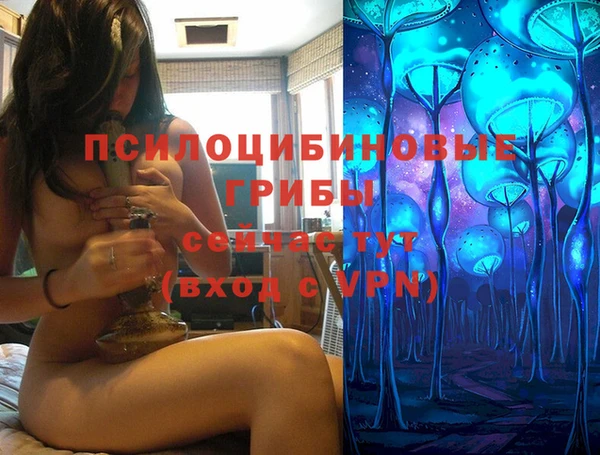 твердый Мегион