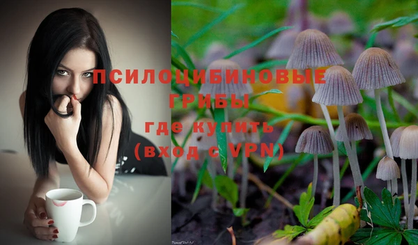 спиды Михайловка