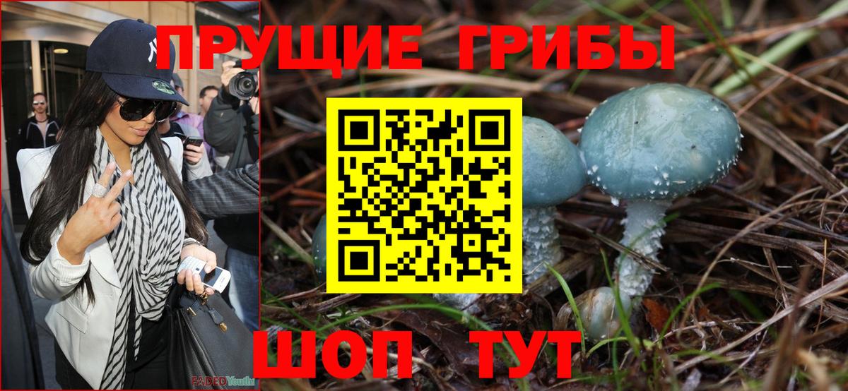 Псилоцибиновые грибы прущие грибы Старая Купавна