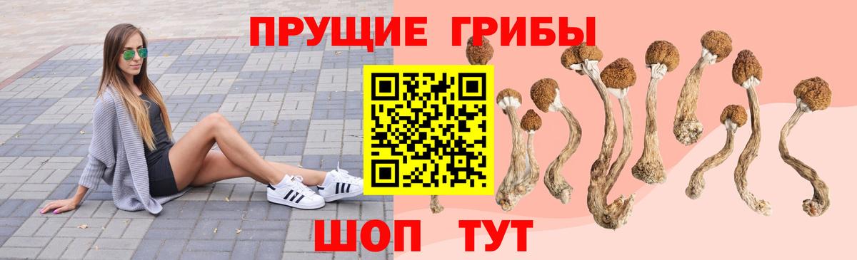 Галлюциногенные грибы Magic Shrooms  Вход с VPN  Старая Купавна 